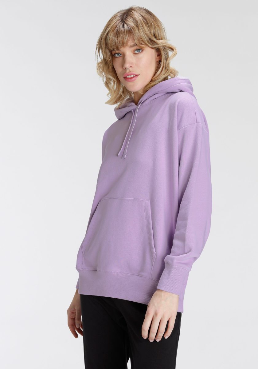 Champion Hoodie HOODED sweatshirt