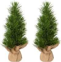 Creativ green Kunstkerstboom Kerstversiering, kunstmatige kerstboom, dennenboom (2 stuks)