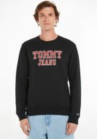 Tommy Jeans Sweatshirt TJM REG ENTRY GRAPHIC CREW
