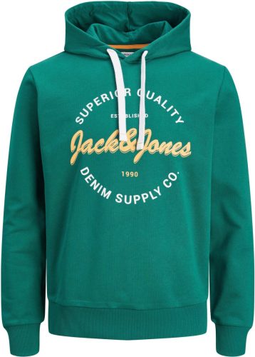 Jack & Jones Hoodie JJ JJANDY SWEAT HOOD