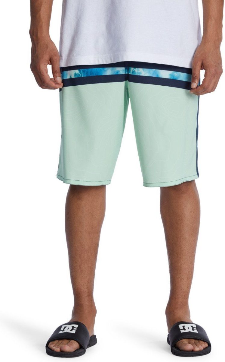 Dc shoes Boardshort