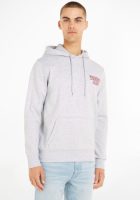 Tommy Jeans Hoodie TJM REG ENTRY GRAPHIC HOODIE
