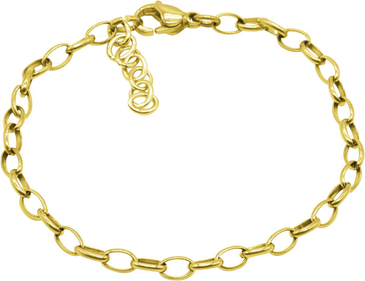 Firetti Edelstalen armband Ankerschakels, 3,9 mm breed