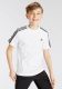 adidas Sportswear T-shirt TRAIN essentials AEROREADY 3-STRIPE regular fit