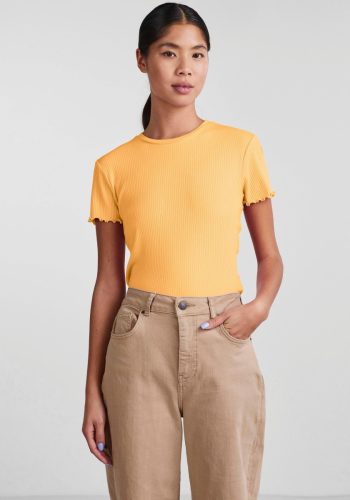 PIECES Shirt met korte mouwen PCNICCA SS O-NECK TOP KAC BFD