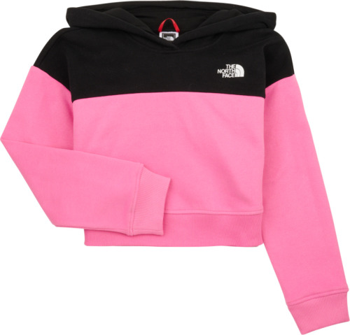 Sweater The North Face  Girls Drew Peak Crop P/O Hoodie