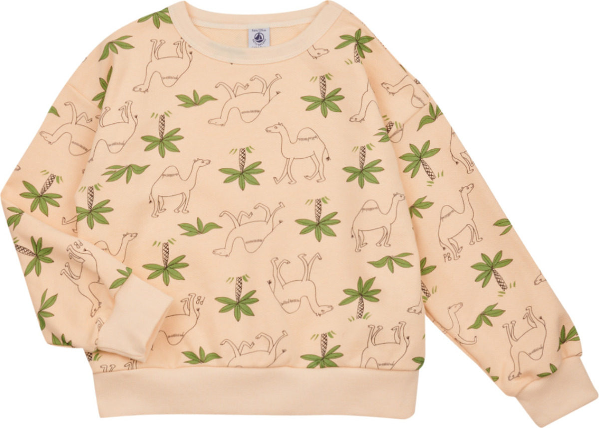Sweater Petit Bateau  FLOT