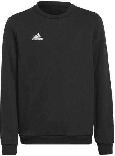Sweater adidas  ENT22 SW TOPY