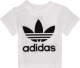 adidas Originals Adicolor T-shirt wit/zwart