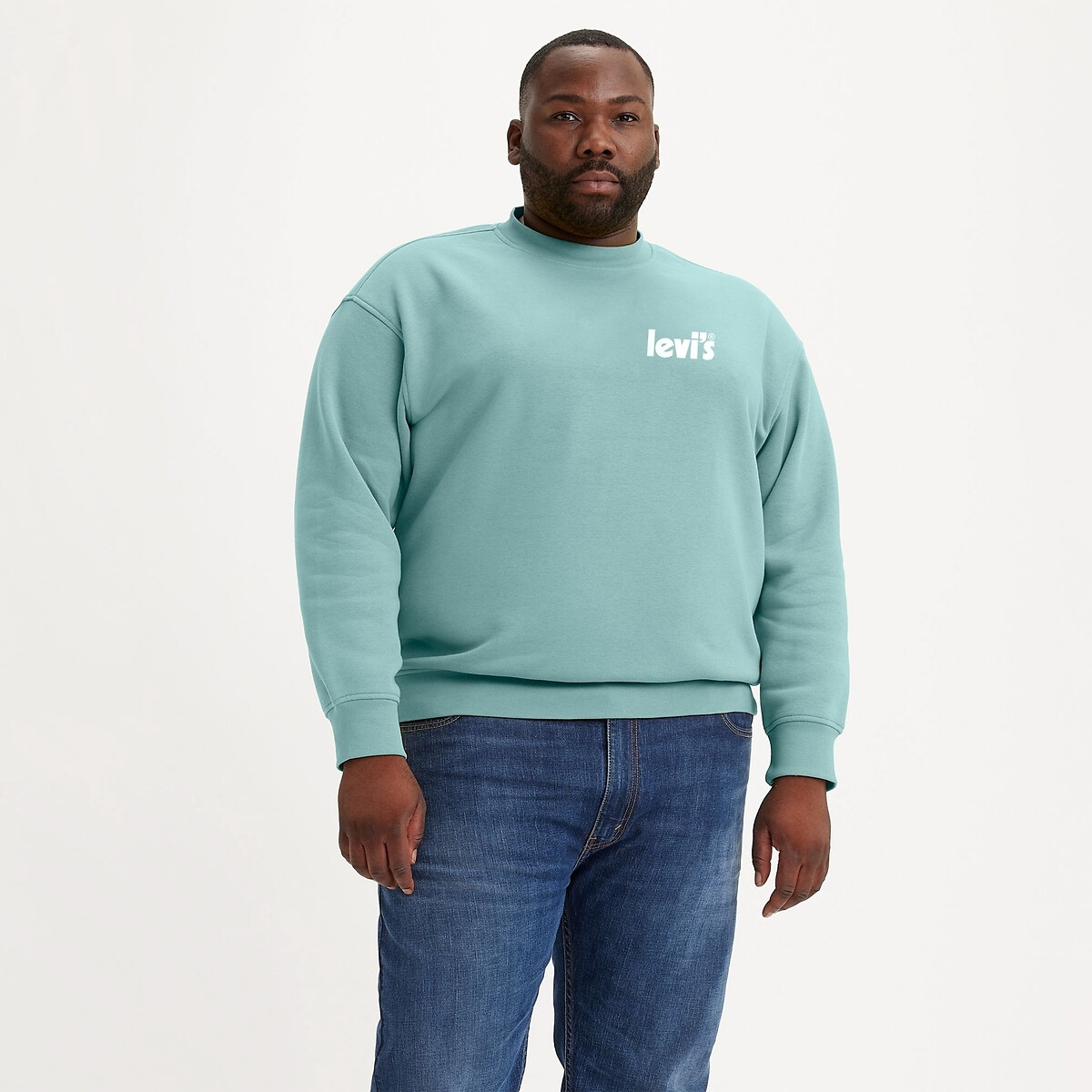 Sweater met ronde hals, grote maten