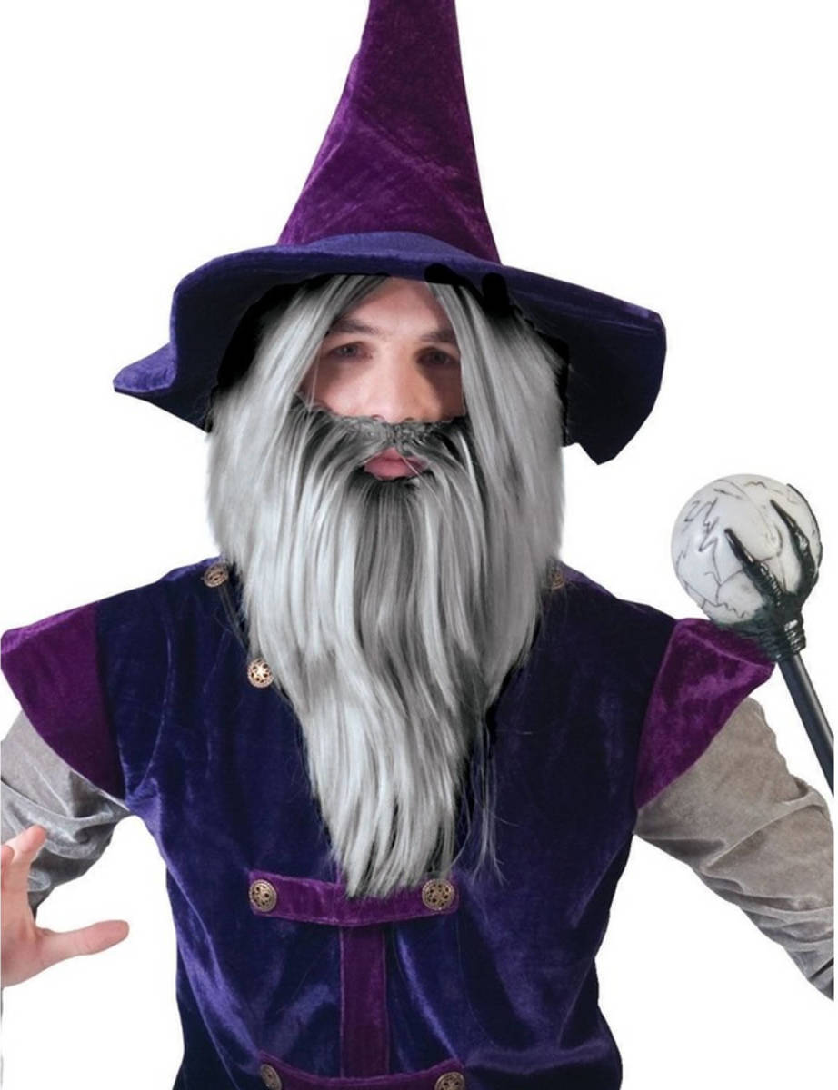 Funny Fashion Grijze Tovenaars Pruik Met Baard - Verkleedpruiken
