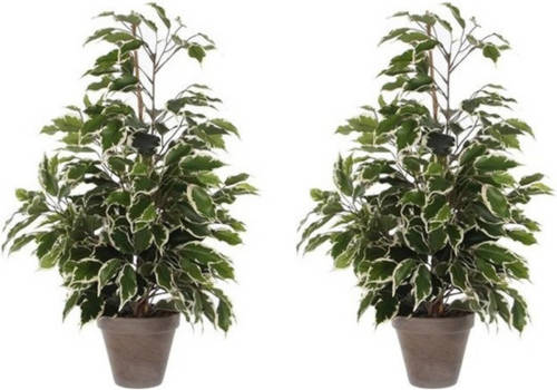 Mica Decorations 2x Groen/witte Tropische Ficus Kunstplanten 65 Cm Voor Binnen - Kunstplanten