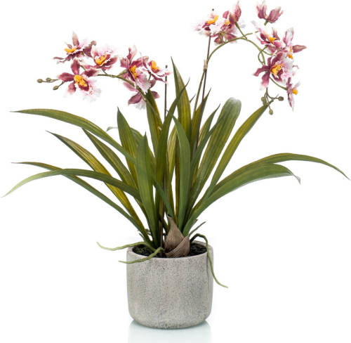 Trendoz Bordeaux Rode Orchidee Orchidaceae Kunstplant In Keramische Pot 45 Cm - Kunstplanten