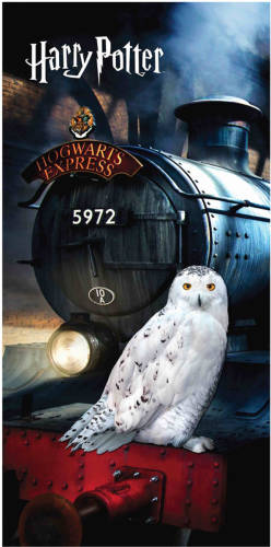 SimbaShop Harry Potter Strandlaken Hedwig - 70 X 140 Cm - Katoen