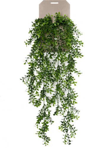 PrettyPlants Buxus Kunst Hangplant 75cm