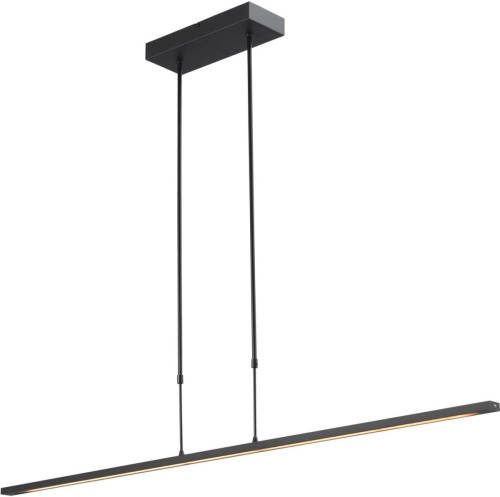 Lamponline Masterlight Hanglamp Real 2 Led 130 Cm Zwart Nikkel