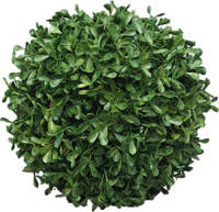 Warentuin Box Princeville Ball 20 Cm Kunstplant Nova Nature