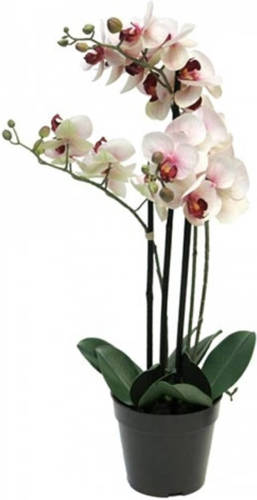 Warentuin Phalaenopsis Orchidee In Pot 60 Cm Roze Kunstplant Nova Nature