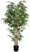 Warentuin Bamboe Plant 150 Cm Kunstplant Buitengewoon De Boet