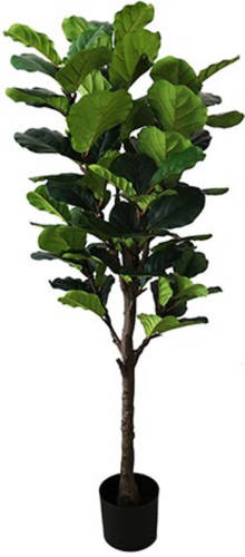 Warentuin Ficus Lyrata 160 Cm Kunstplant Buitengewoon De Boet