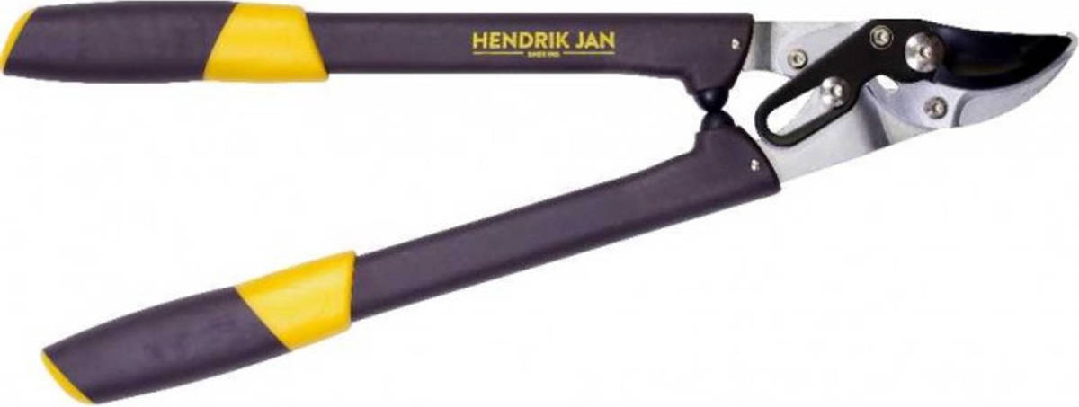 Synx Store Hendrik Jan Takkenschaar Papegaaibek 32 Mm