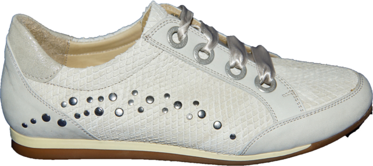 Footnotes 62.006 wijdte H