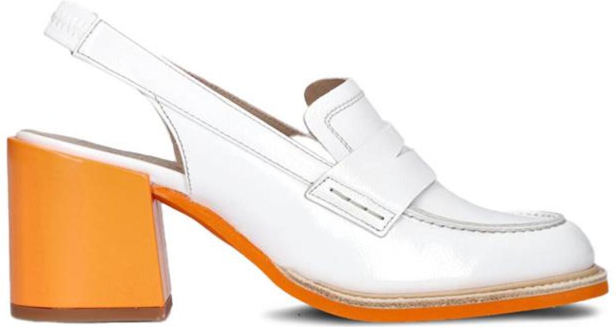 Pertini 231W32317D3