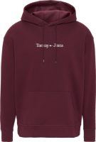 Tommy Jeans Hoodie TJM REG LINEAR HOODIE