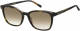 Tommy hilfiger zonnebril TH 1723/S bruin