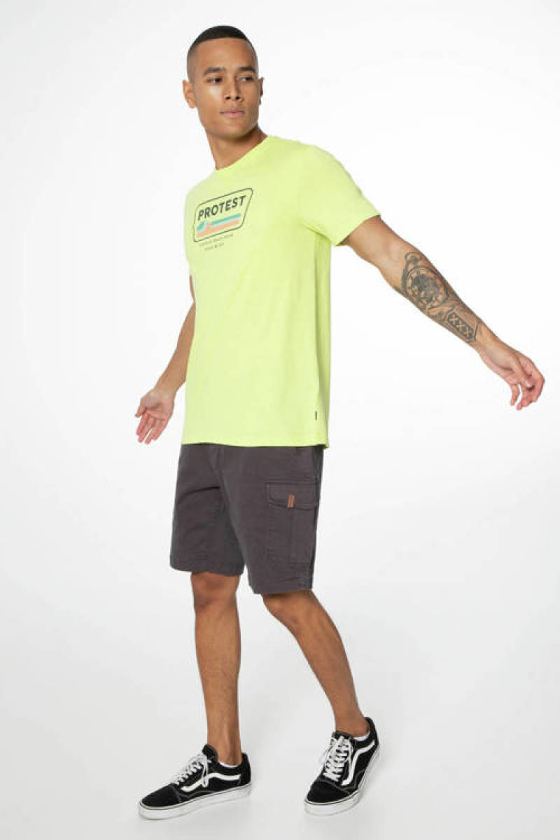 Protest regular fit cargo short PRTNYTRO deep grey