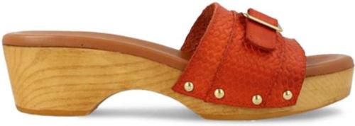 Red-rag 79562