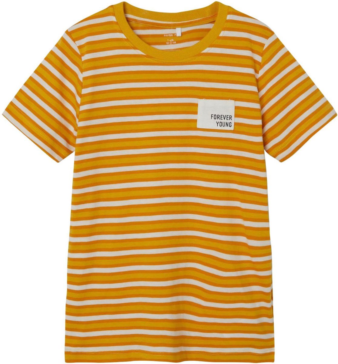 NAME IT Shirt met korte mouwen NKMDIK SS TOP PB