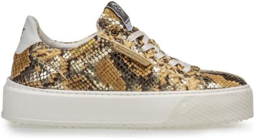 Floris van bommel Winni 01.09 leren sneakers met slangenprint goud