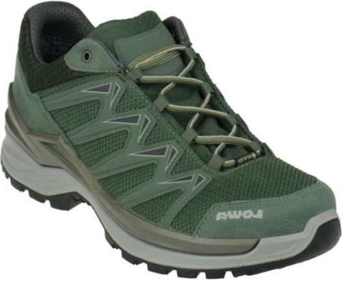 Lowa Innox Pro GTX Lo Men