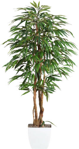 Kopu ® Kunstplant Ficus 150 Cm In Witte Pot - 720 Bladeren