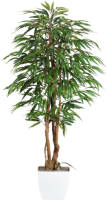 Kopu ® Kunstplant Ficus 150 Cm In Witte Pot - 720 Bladeren