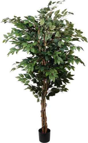 Kopu ® Kunstplant Ficus Benjamina 150 Cm In Zwarte Pot - 1764 Bladeren