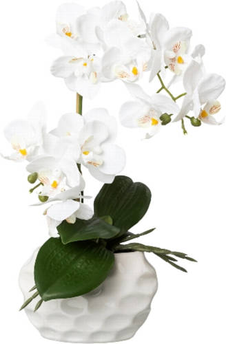 Kopu ® Kunstplant Orchidee 33 Cm In Witte Sierpot 13x9cm - Wit