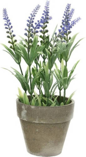 Shoppartners Groene/paarse Lavandula/lavendel Kunstplant 25 Cm In Beton Pot - Kunstplanten