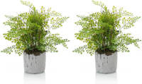 Emerald Set Van 2x Stuks Groene Kunstplanten Varen 30 Cm - Kunstplanten