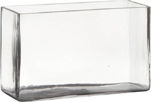 Hakbijl Glass Transparante Rechthoek Accubak Vaas/vazen Van Glas 25 X 10 X 15 Cm - Vazen