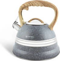 EDENBERG Gray Line - Fluitketel Rvs - 3.0 Liter