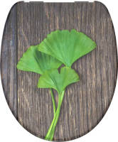 SCHÜTTE Toiletbril Met Soft-close Ginkgo & Wood