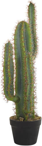 Beliani Cactus - Kunstplant-groen-synthetisch Materiaal