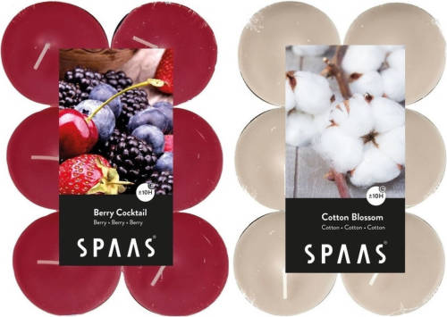 Candles by Spaas Geurkaarsen - 24x Stuks In 2 Geuren Blossom Flowers En Berry Cocktail - Geurkaarsen