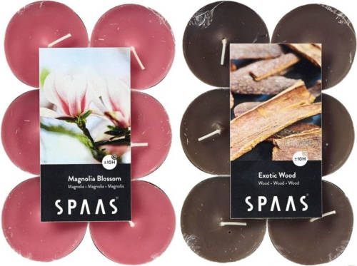 Candles by Spaas Geurkaarsen - 24x Stuks In 2 Geuren Magnolia Blossom En Exotic Wood - Geurkaarsen