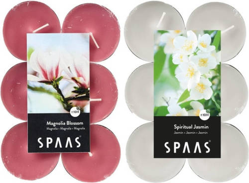 Candles by Spaas Geurkaarsen - 24x Stuks In 2 Geuren Jasmin En Magnolia Flowers - Geurkaarsen