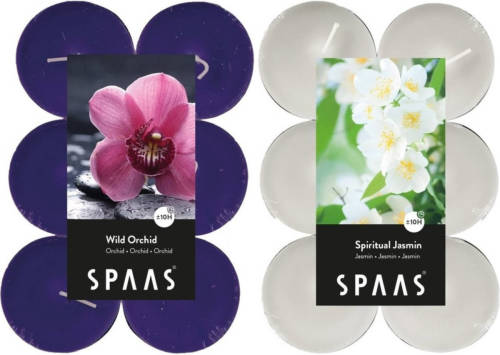 Candles by Spaas Geurkaarsen - 24x Stuks In 2 Geuren Jasmin En Wild Orchid - Geurkaarsen