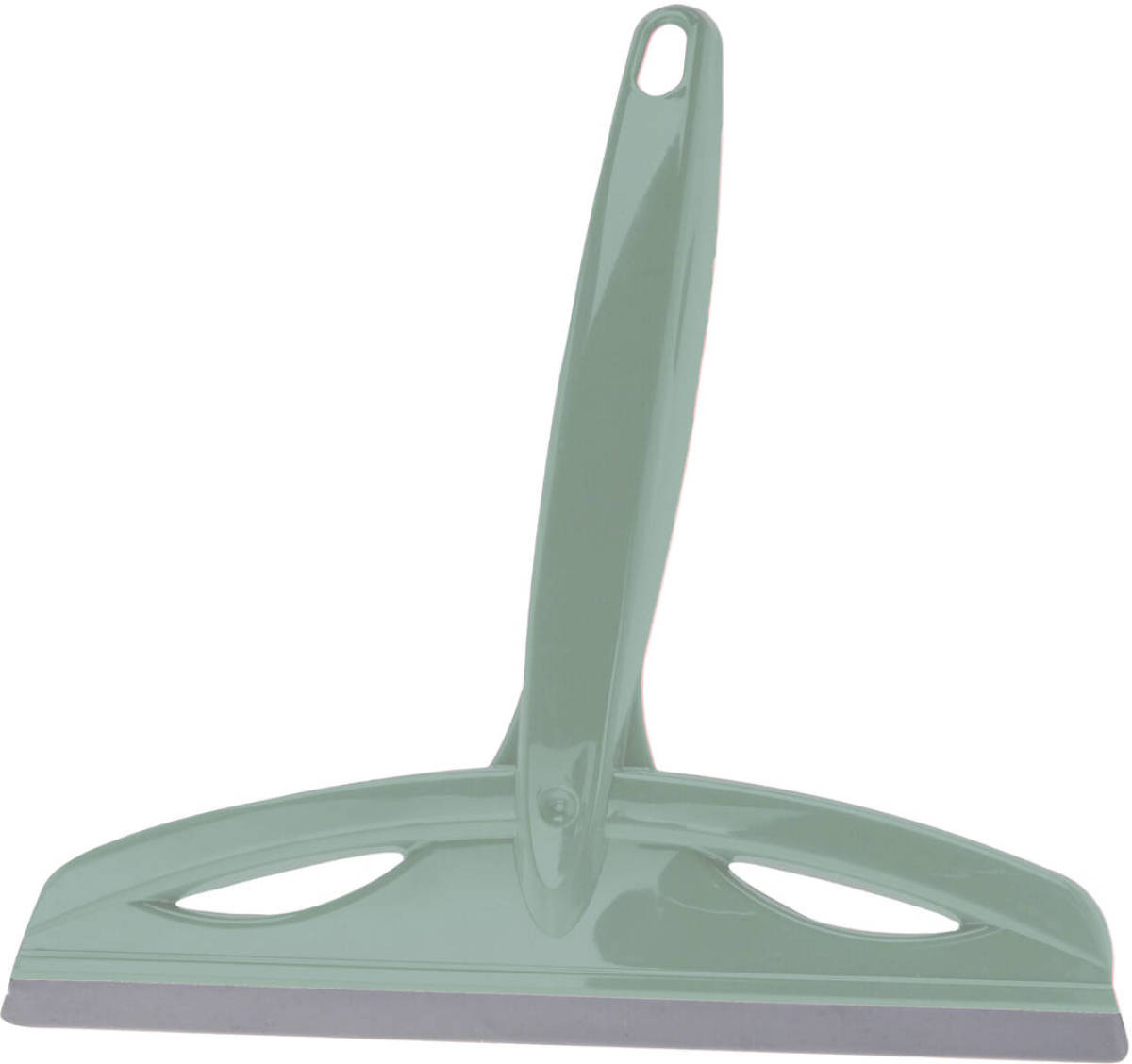 Excellent Houseware Douchewisser/raamwisser - Groen - 20 Cm - Raamwissers