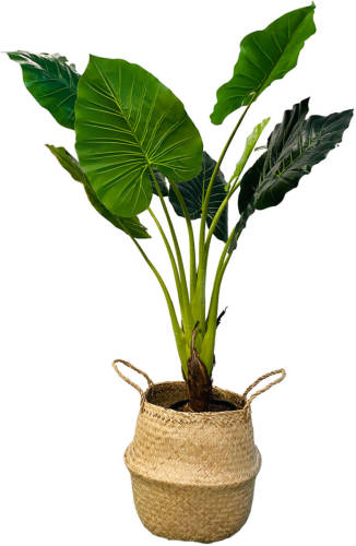 Hem Kunst Palm - Kunst Colocasia Taro Plant - Colocasia Taro Kunstplant 90 Cm In Zwarte Pot - Kunstplant Voor Binnen